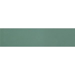 Obklad Ribesalbes Chic Colors sage 10x30 cm lesk CHICC1514
