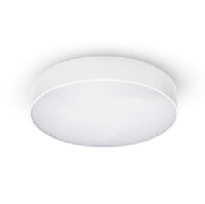 NASLI stropní svítidlo Amica LED pr.60 cm 53 W bílá