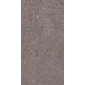 Dlažba Pastorelli Biophilic dark grey 60x120 cm mat P009416