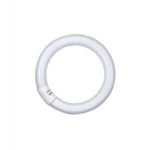 Osram Kruhová zářivka LUMILUX L 22W/840 C T9 G10q neutrální bílá 4000K průměr 216mm 4008321581082